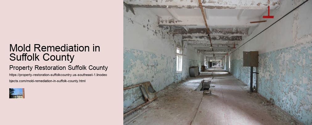 Mold Remediation in Suffolk County