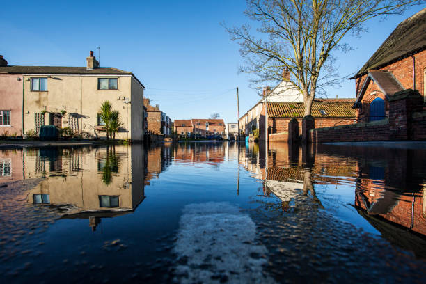 Discover the Best Water Damage Restoration Company in Suffolk County