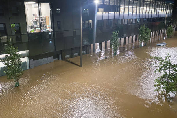 Steps involved in the water damage restoration process